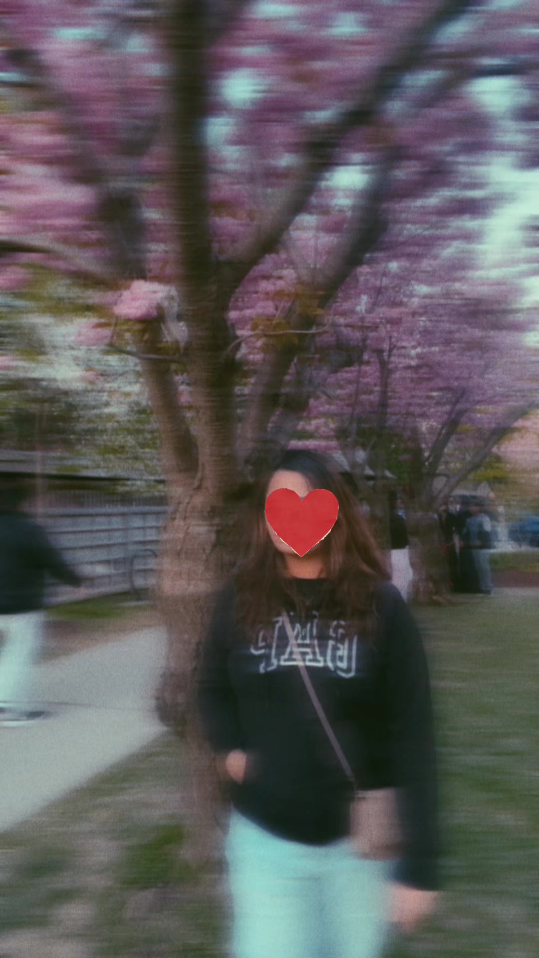 @bixkit100 🍪