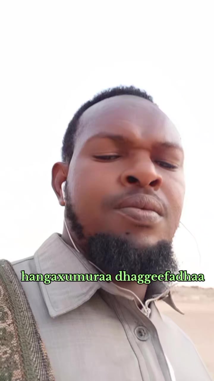 @Shekh Adem Mahmud