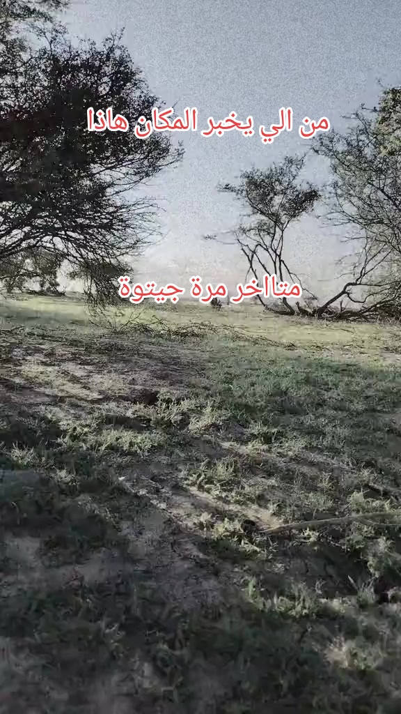 @غـ🦌زلان العميريةرشيدية404✪