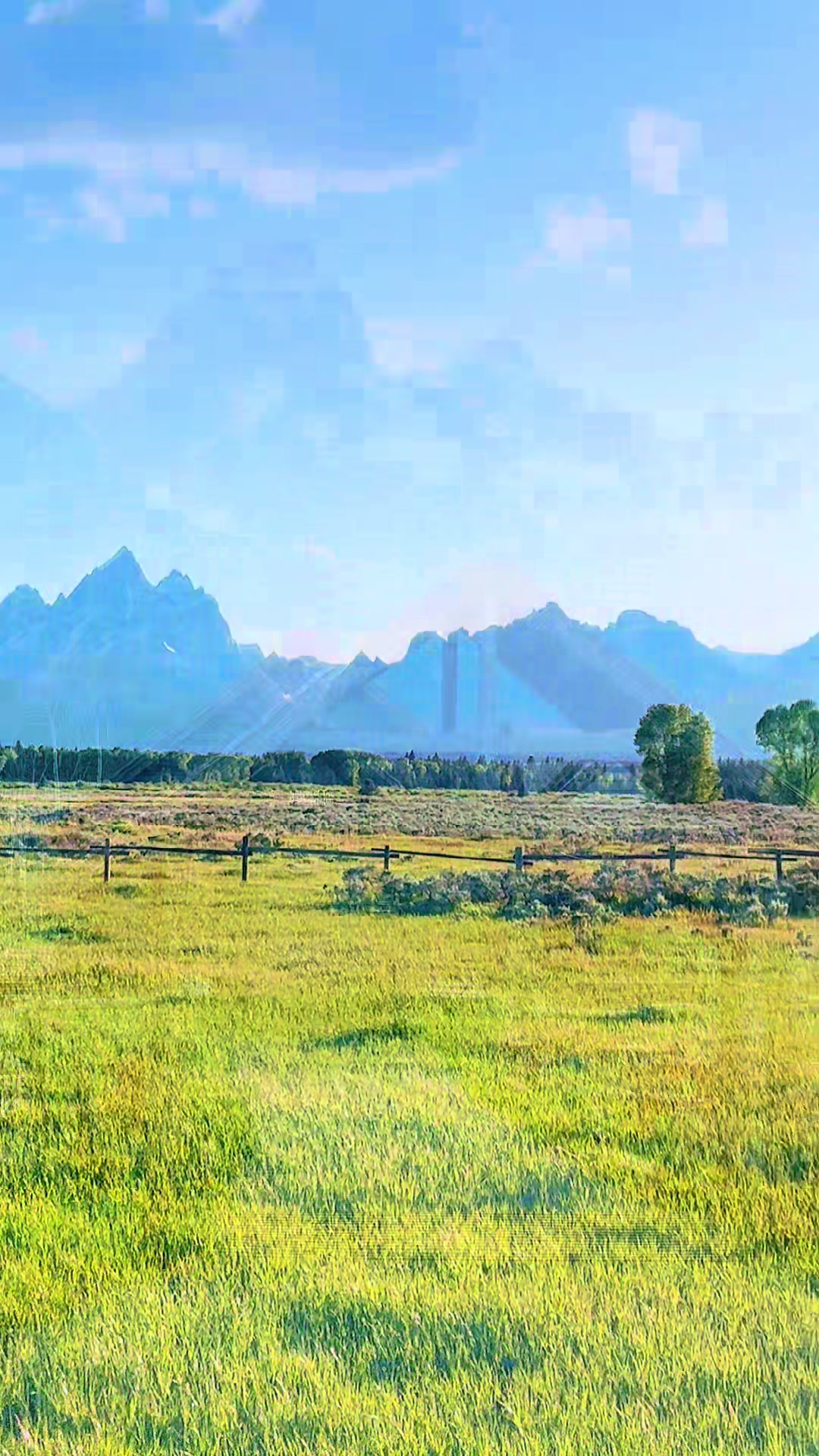 @She She 🏔️
