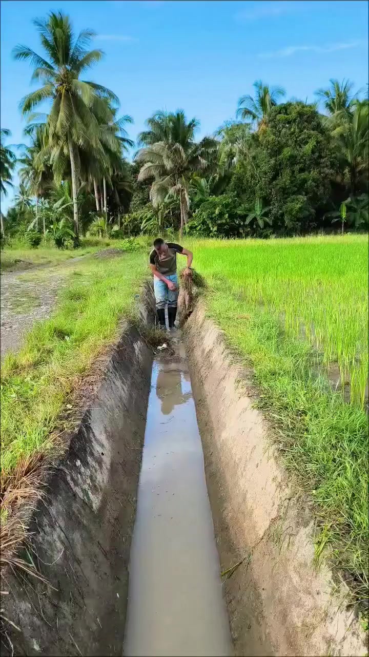 @Hasan Alkatiri