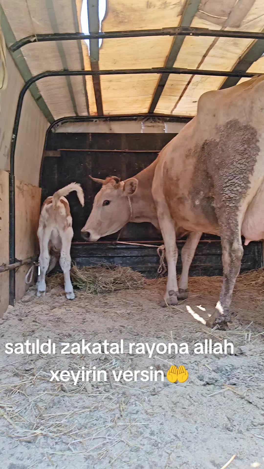@baba477