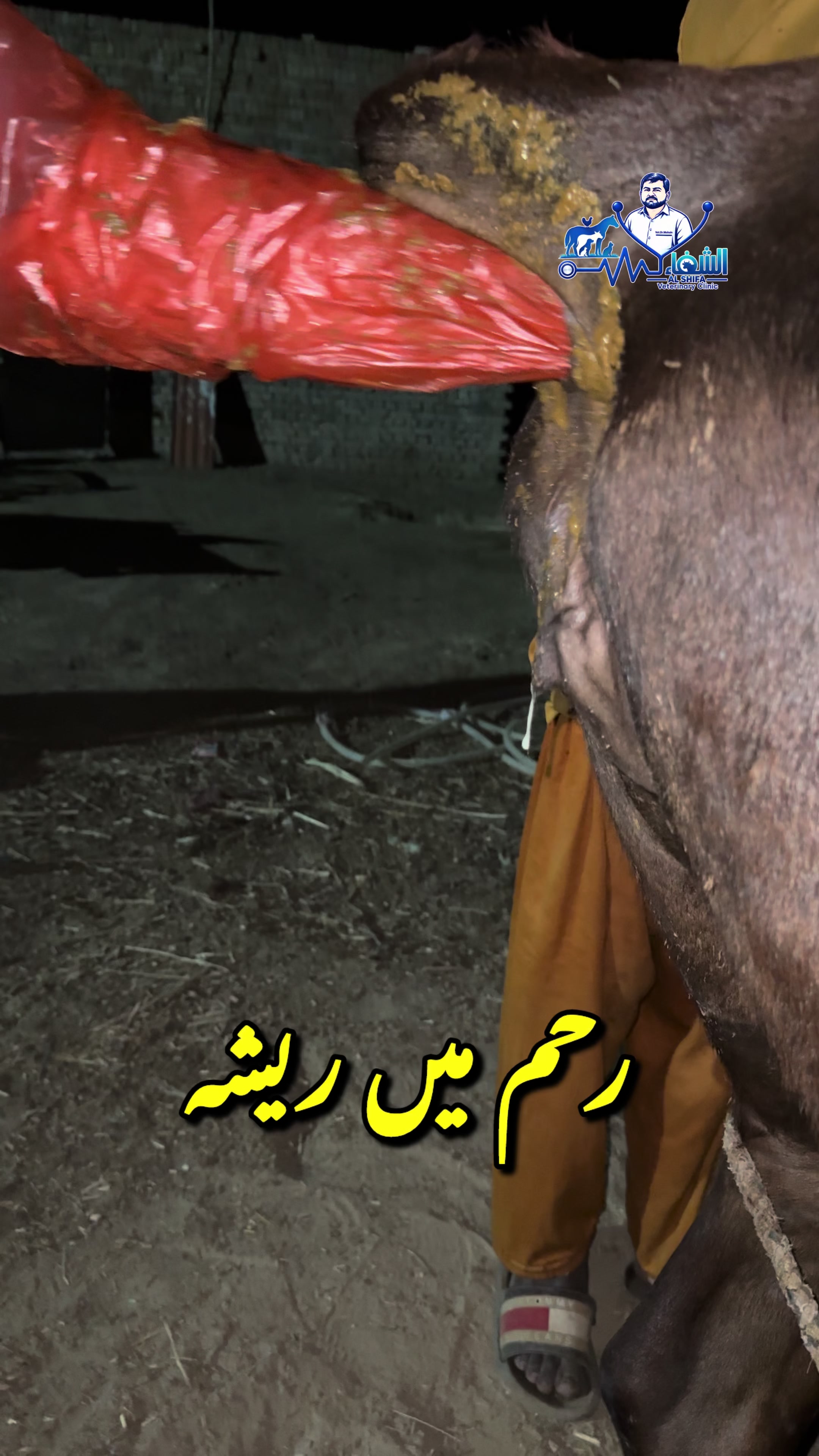 @Dr.Mohsin