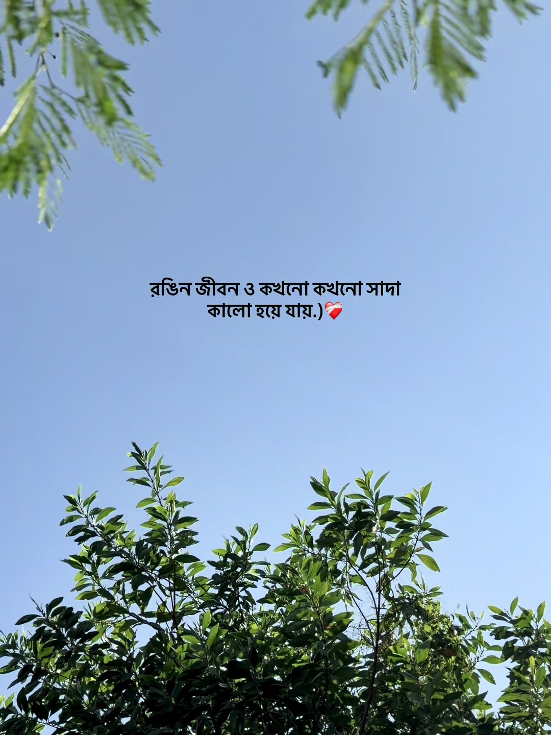 @❏ 𝗔𝗙𝗝𝗔𝗟'🐼