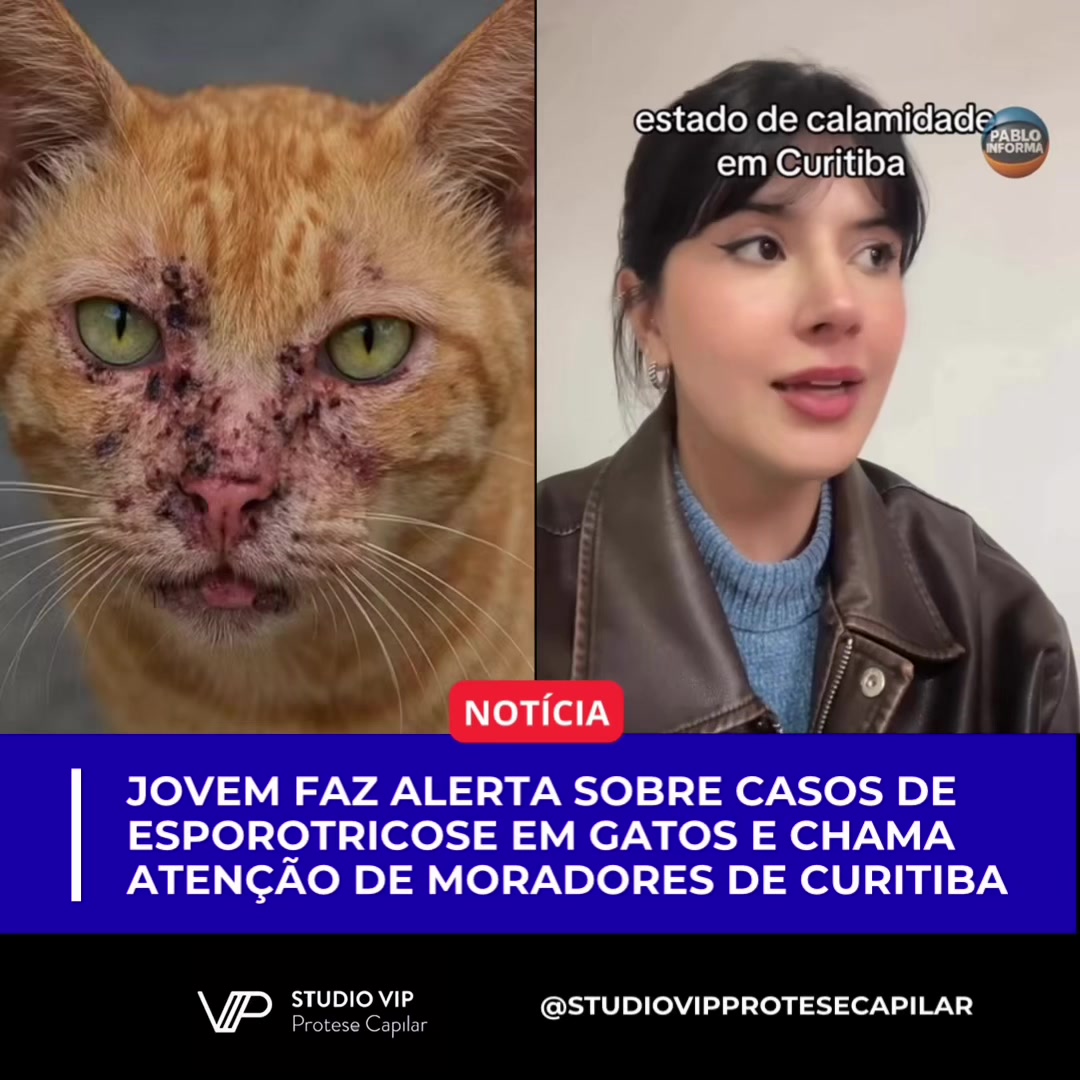 @Pablo Informa
