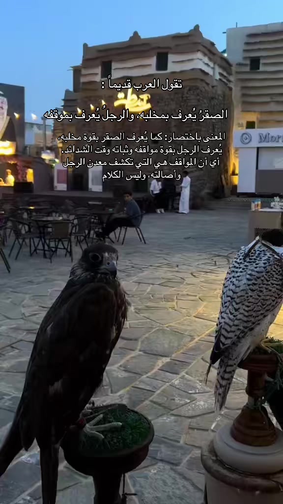 @ريشة صقر