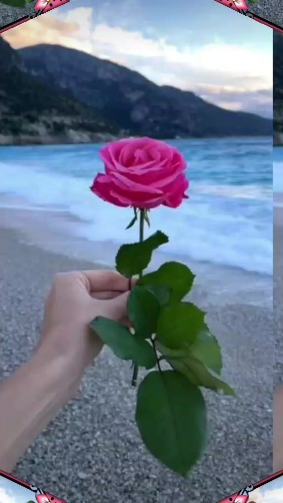 @ሀያት