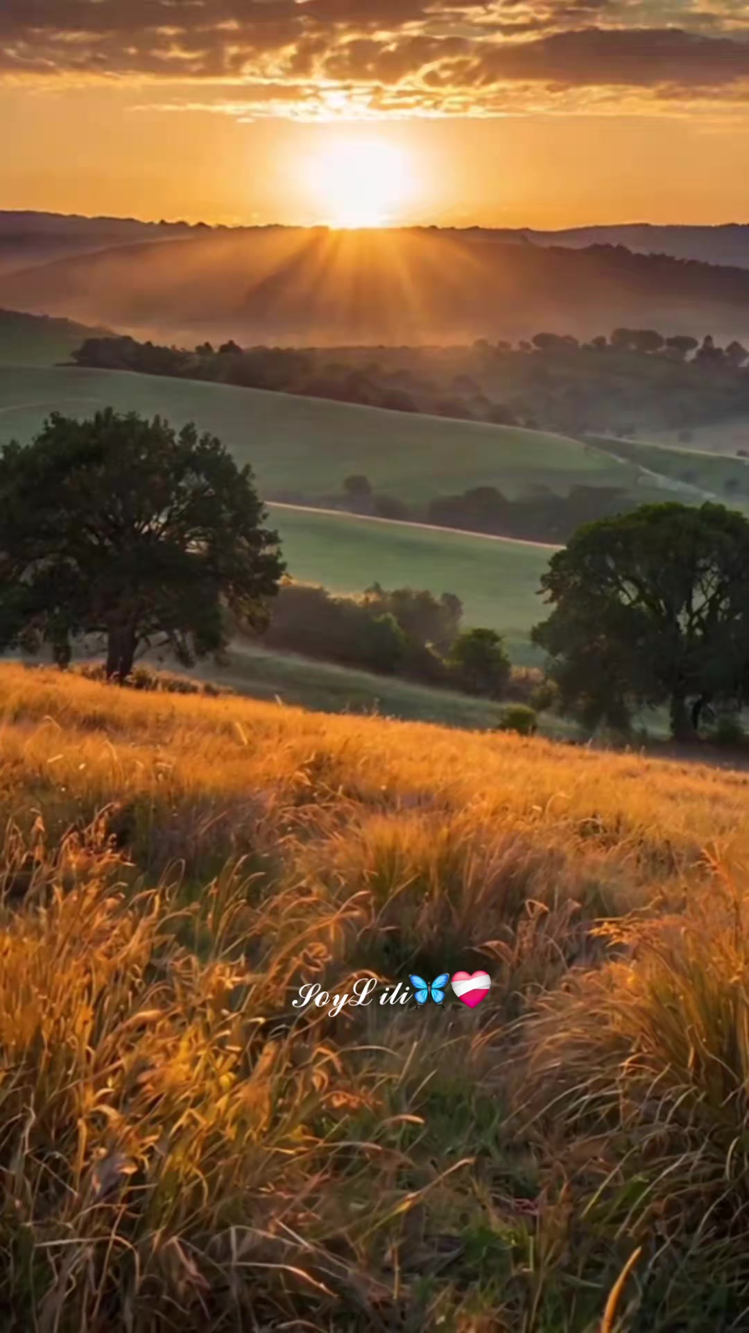 @𝓢𝓸𝔂𝓛𝓲𝓵𝓲🦋❤️&zwj;🩹