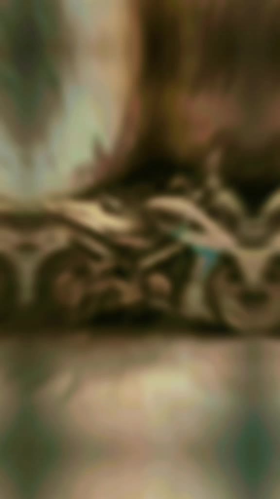 @๐๐พ๐๐ฝ๐๐ฝ๐๐จ๐ฆ