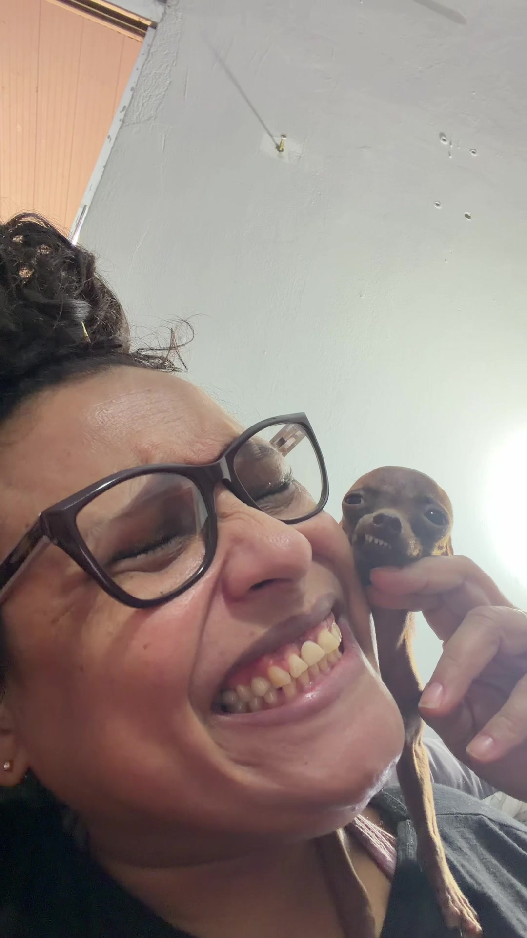 @rozi_pet_micros_oficial