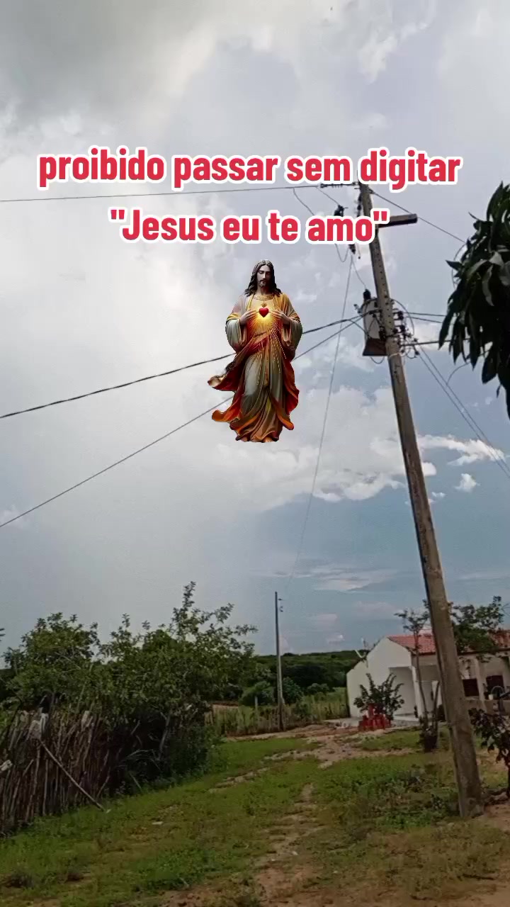 @Concei&ccedil;&atilde;o Santos ❤️