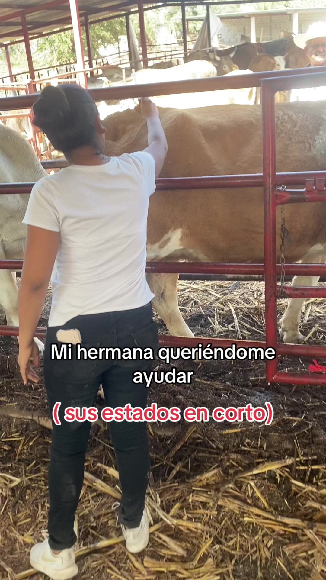 @Benjamin Sanchez