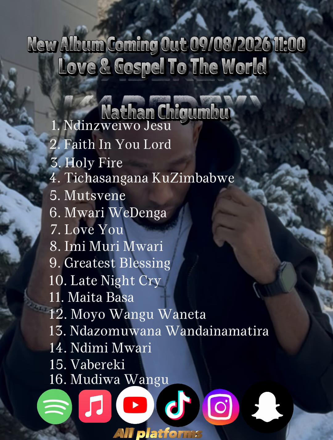 @Nathan Chigumbu🇿🇼🇮🇪