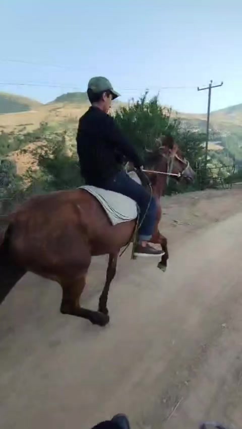 @Elgün Əlizadə
