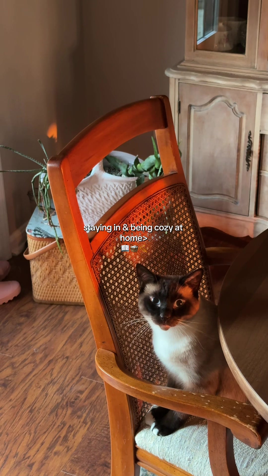 @kalena💐🧺