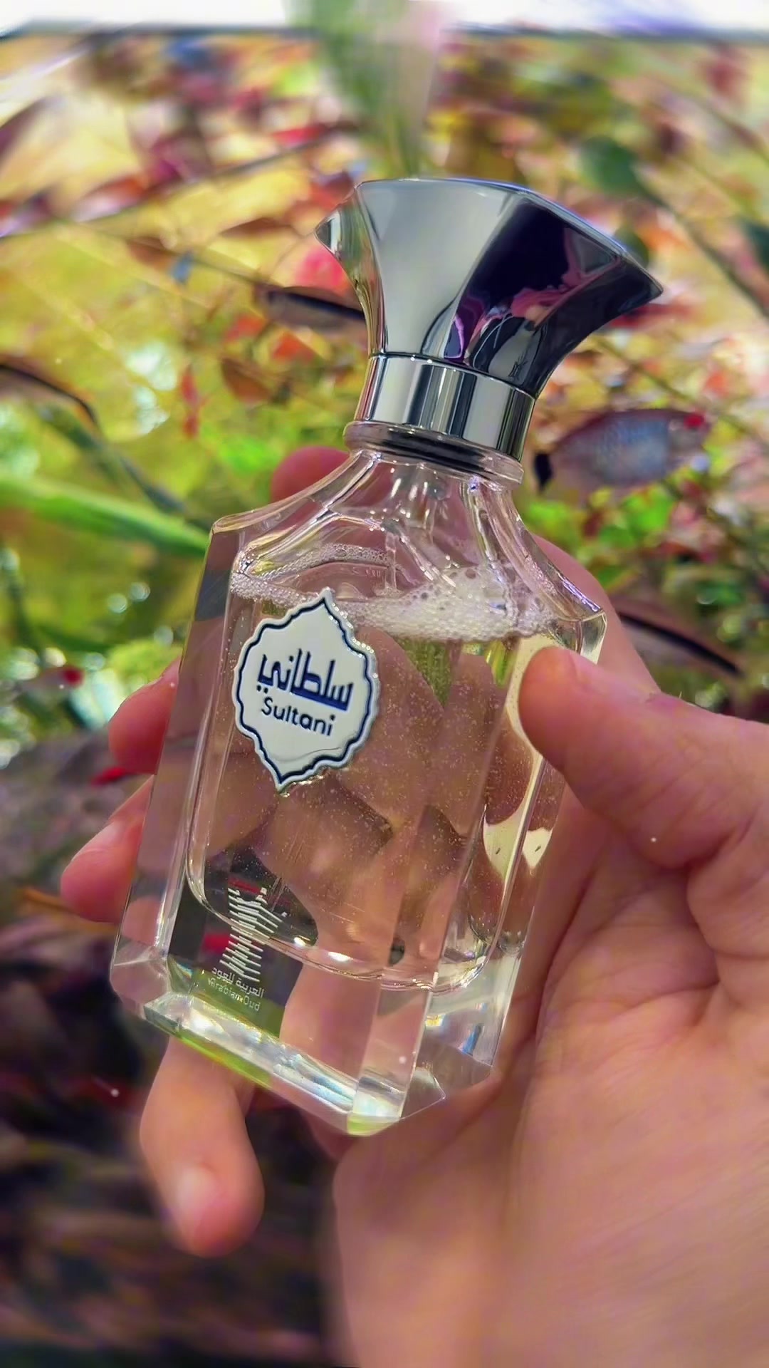 @بۆنی سەفین