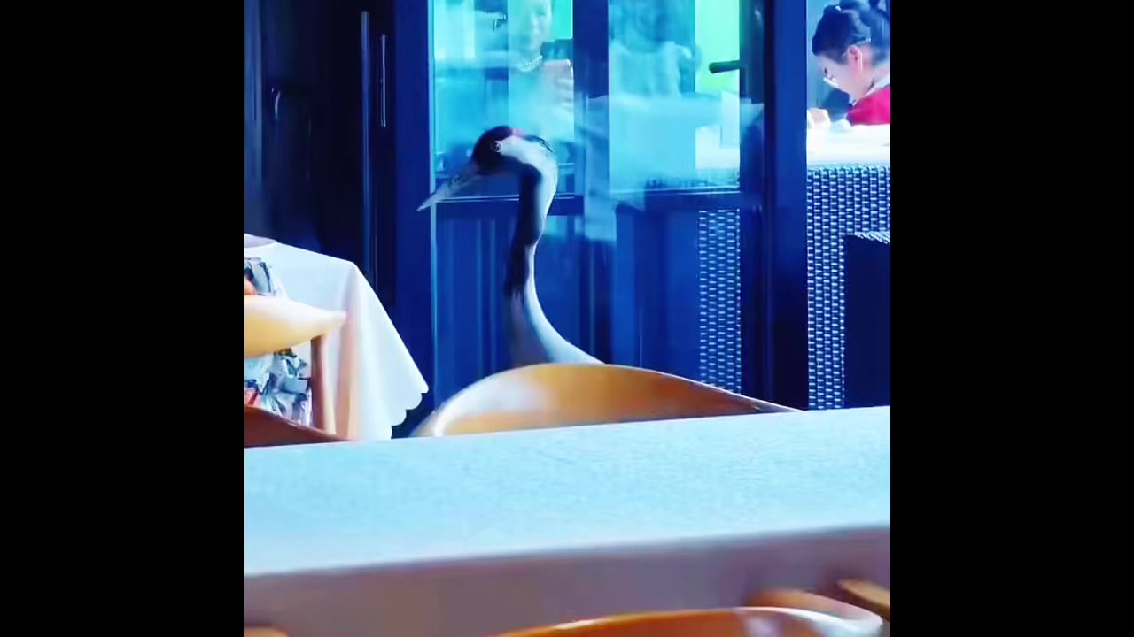 @liujiangyu