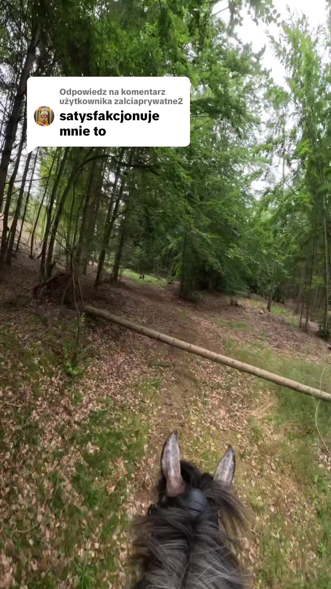 @Stajnia Miejsce Rozwoju