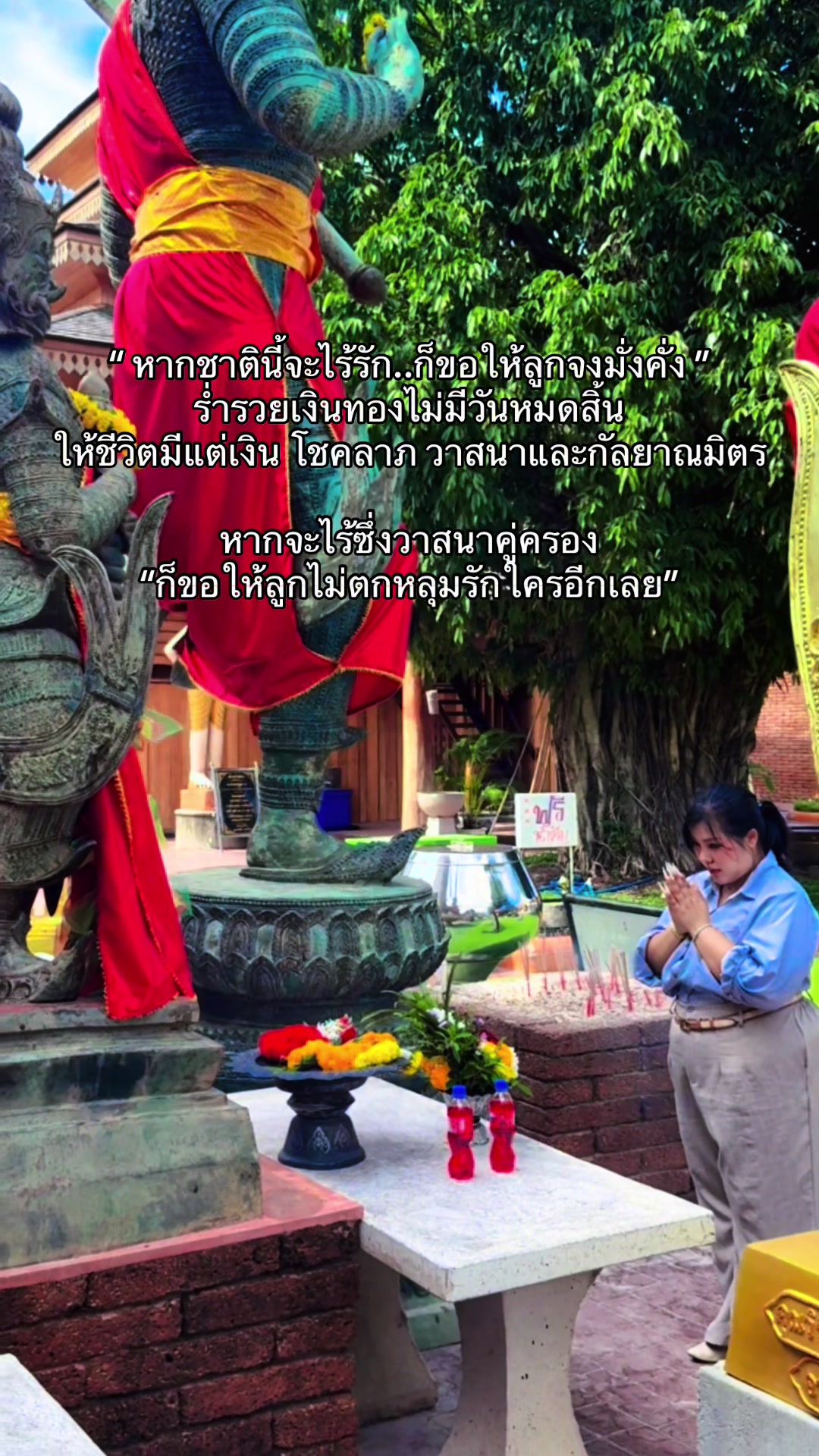 @หอบหมี หนีสงคราม🇹🇭 (128.6K)