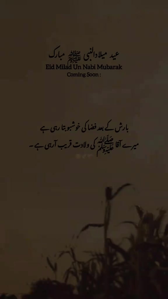 @🫀abubakkar editor 👫🫀