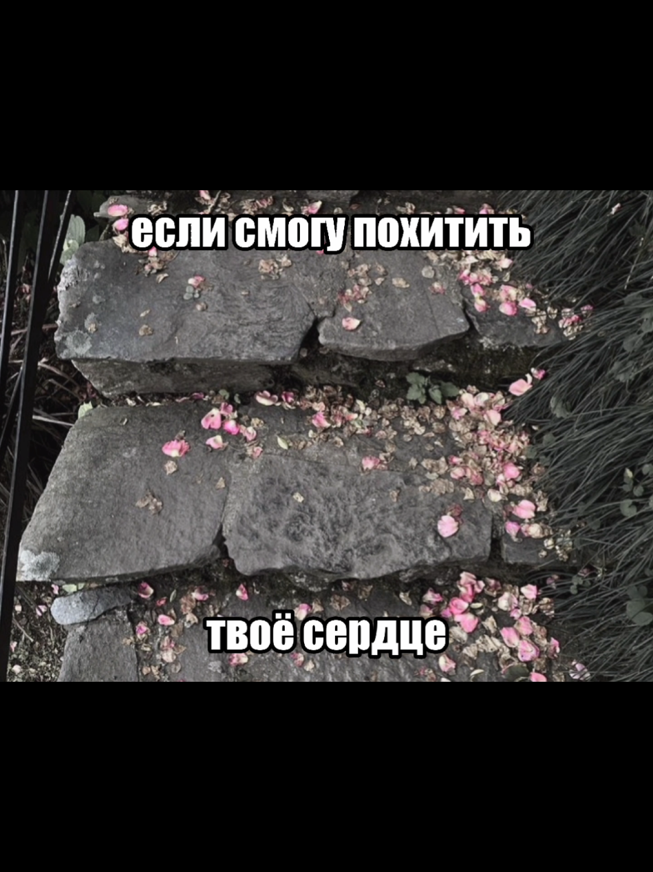 @⊹⊹♱♱⊹⊹