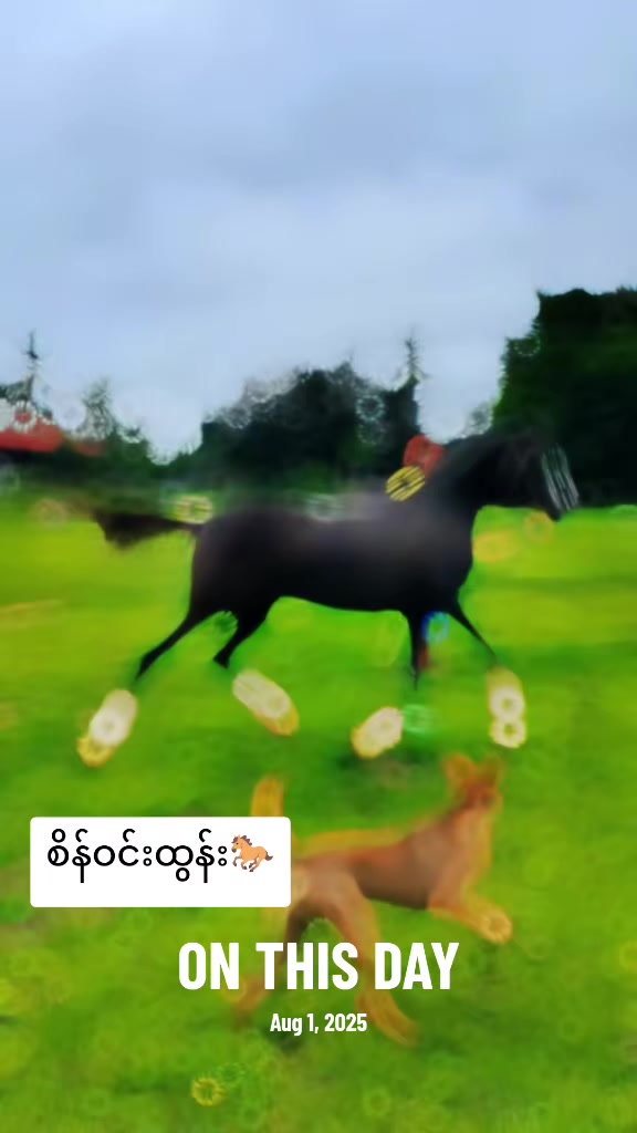 @๐๐๐ ๐๐๐๐ ๐๐๐๐โโ