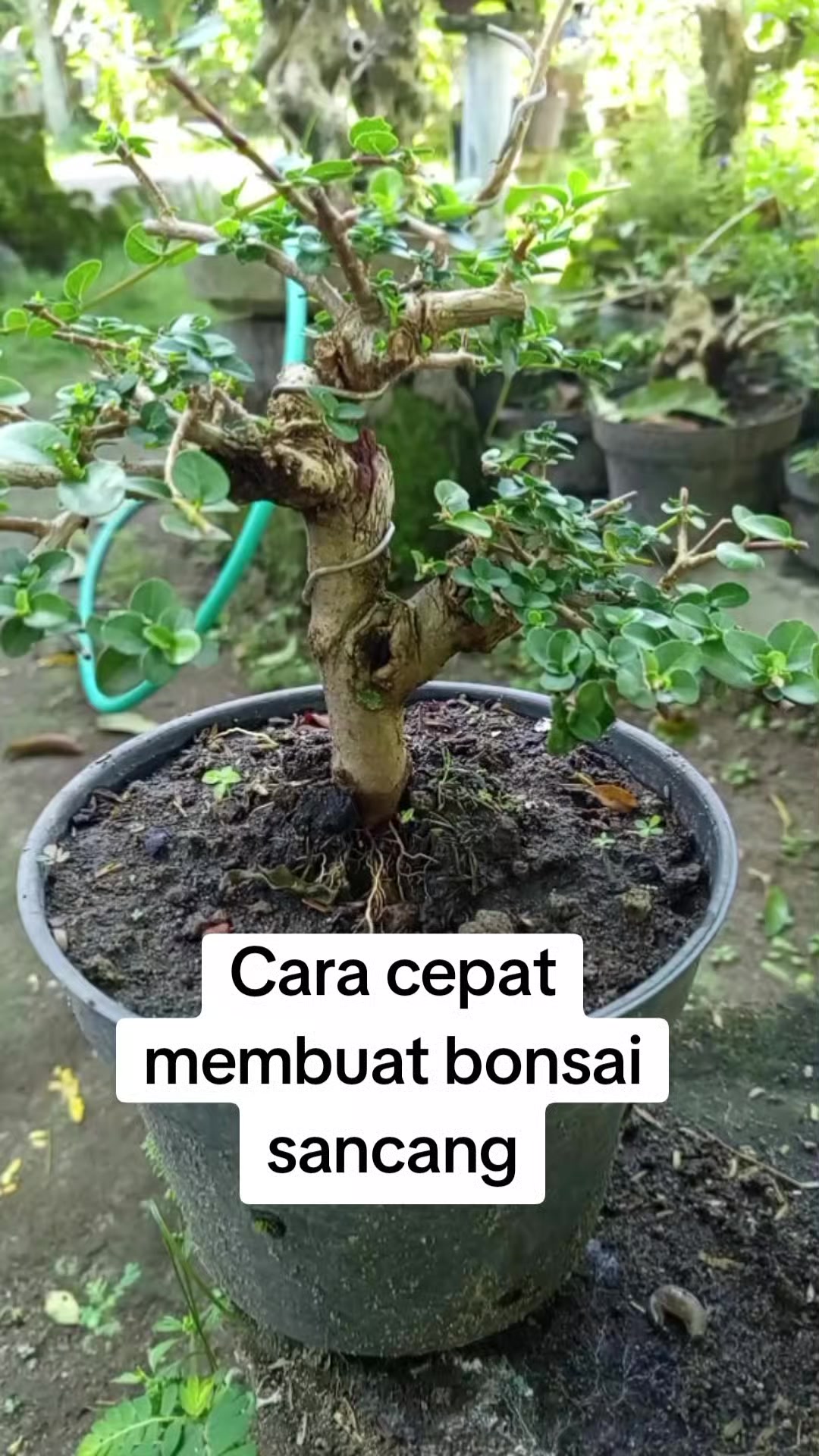 @Bos07