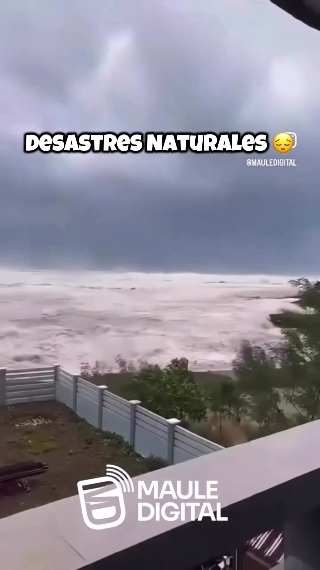 @Milepssy📌Oficial