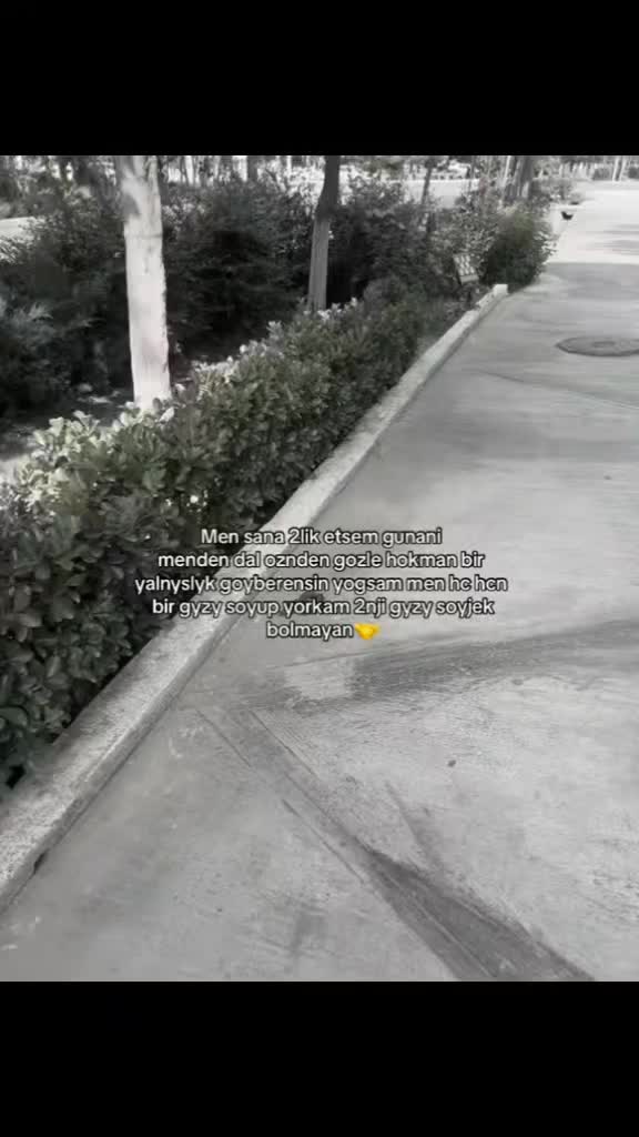 @𝐀𝐥𝐥𝐚𝐧𝐮𝐫_➰