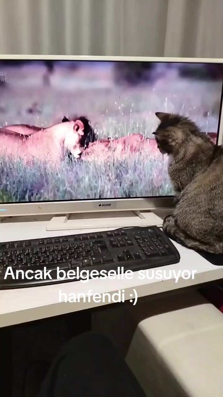 @Mavi Tektaş