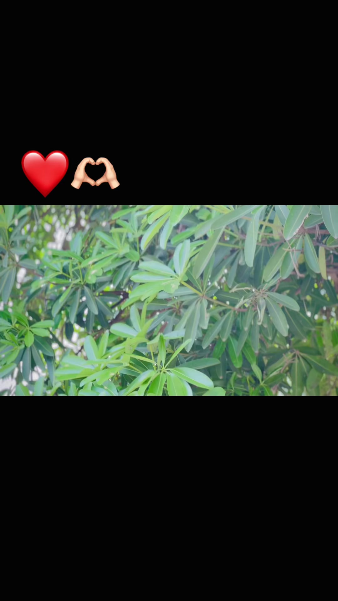 @Imran Ranjha