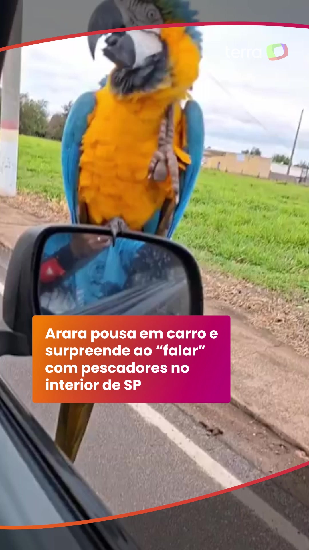 @Terra