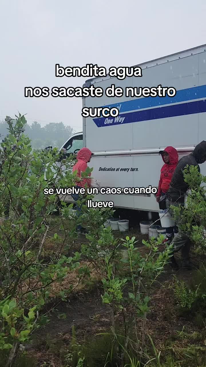 @mini mi