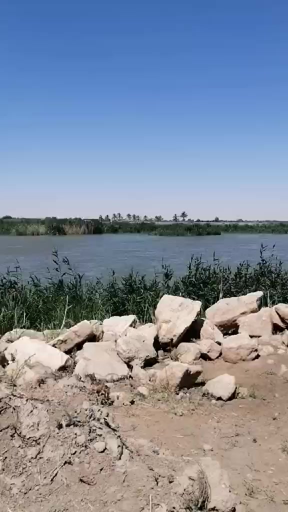 @عبدالله محي