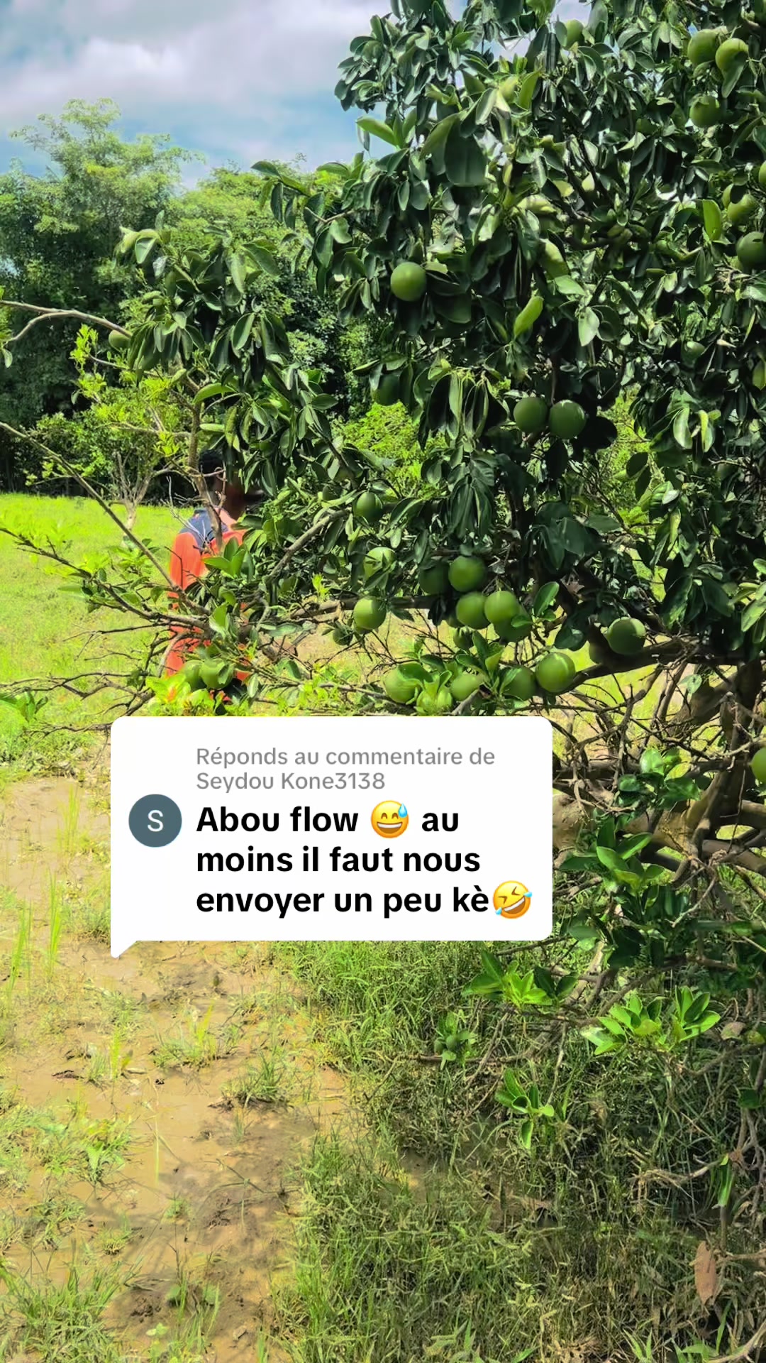 @Baniko Abou flow