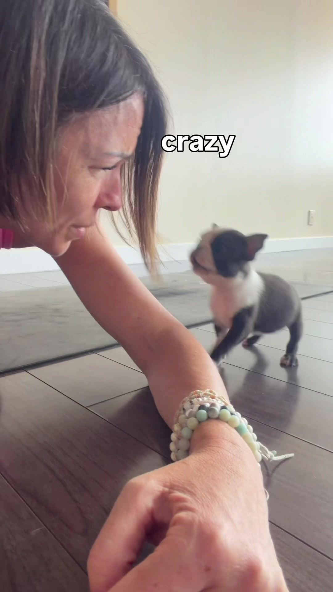 @Muskoka Puppy Yoga