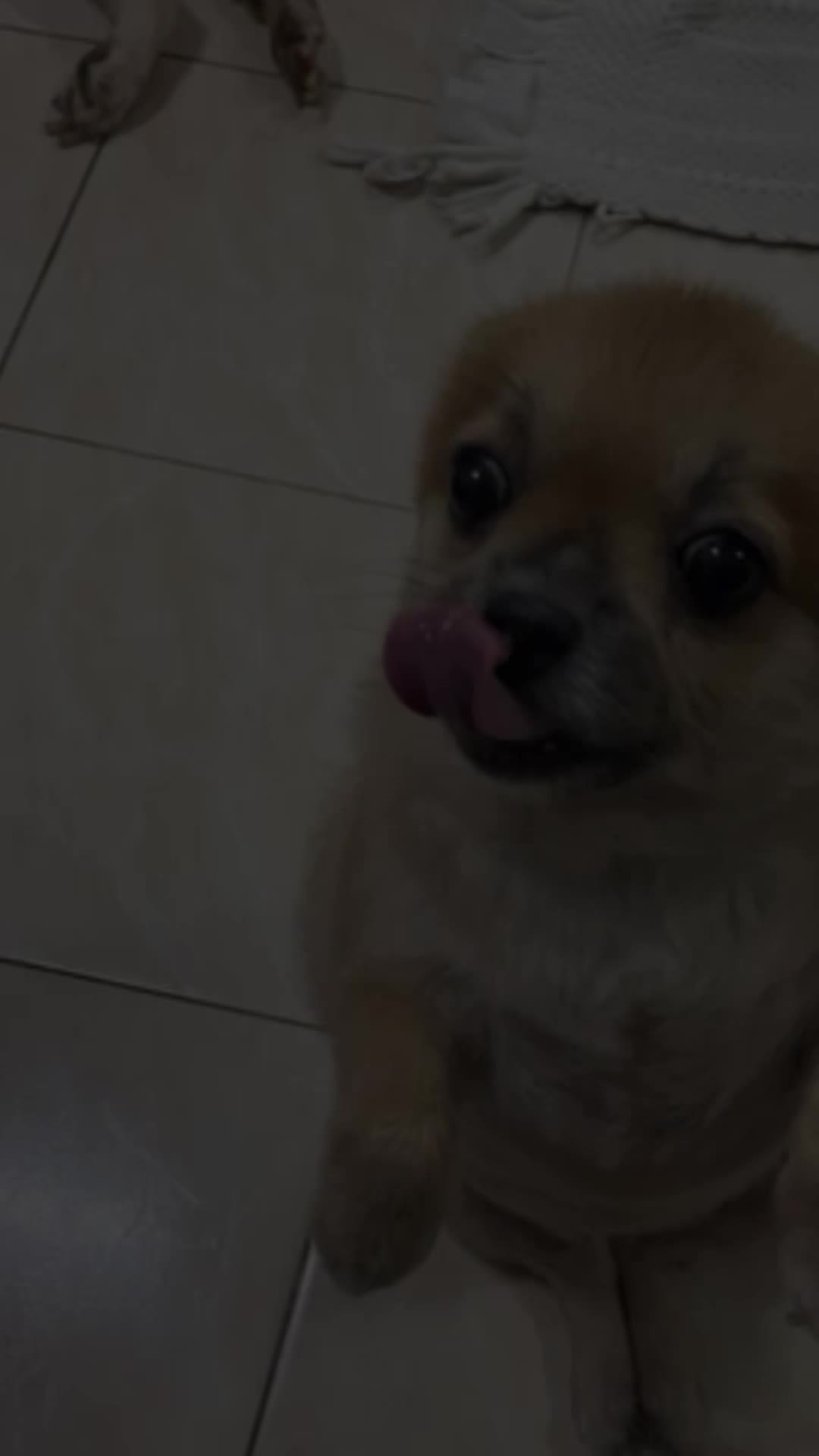 @@boy