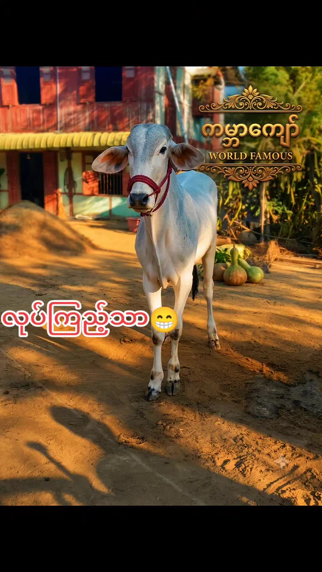 @THAN ZAW WIN
