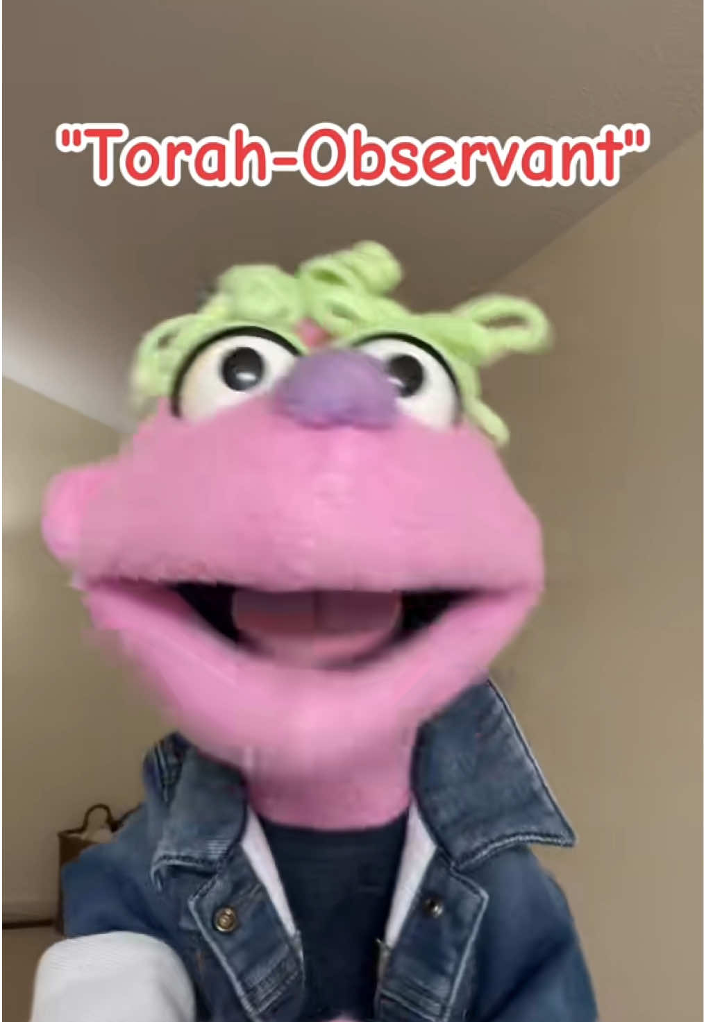 @𝘋𝘪𝘯𝘹 𝘵𝘩𝘦 𝘗𝘶𝘱𝘱𝘦𝘵