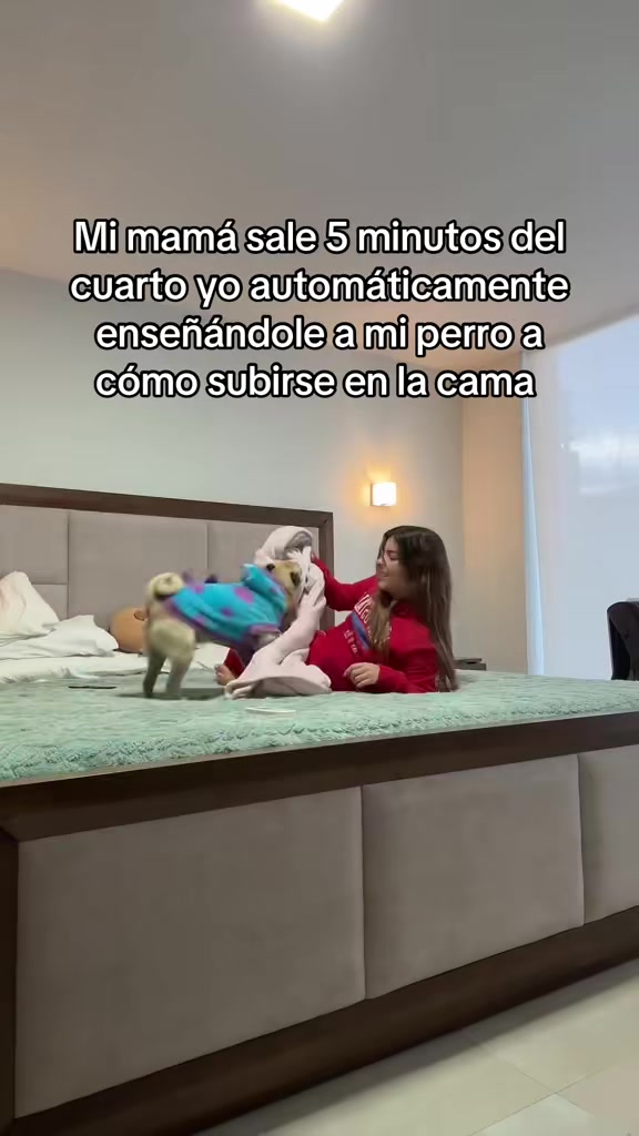 @Alexa&elcarnalchiss