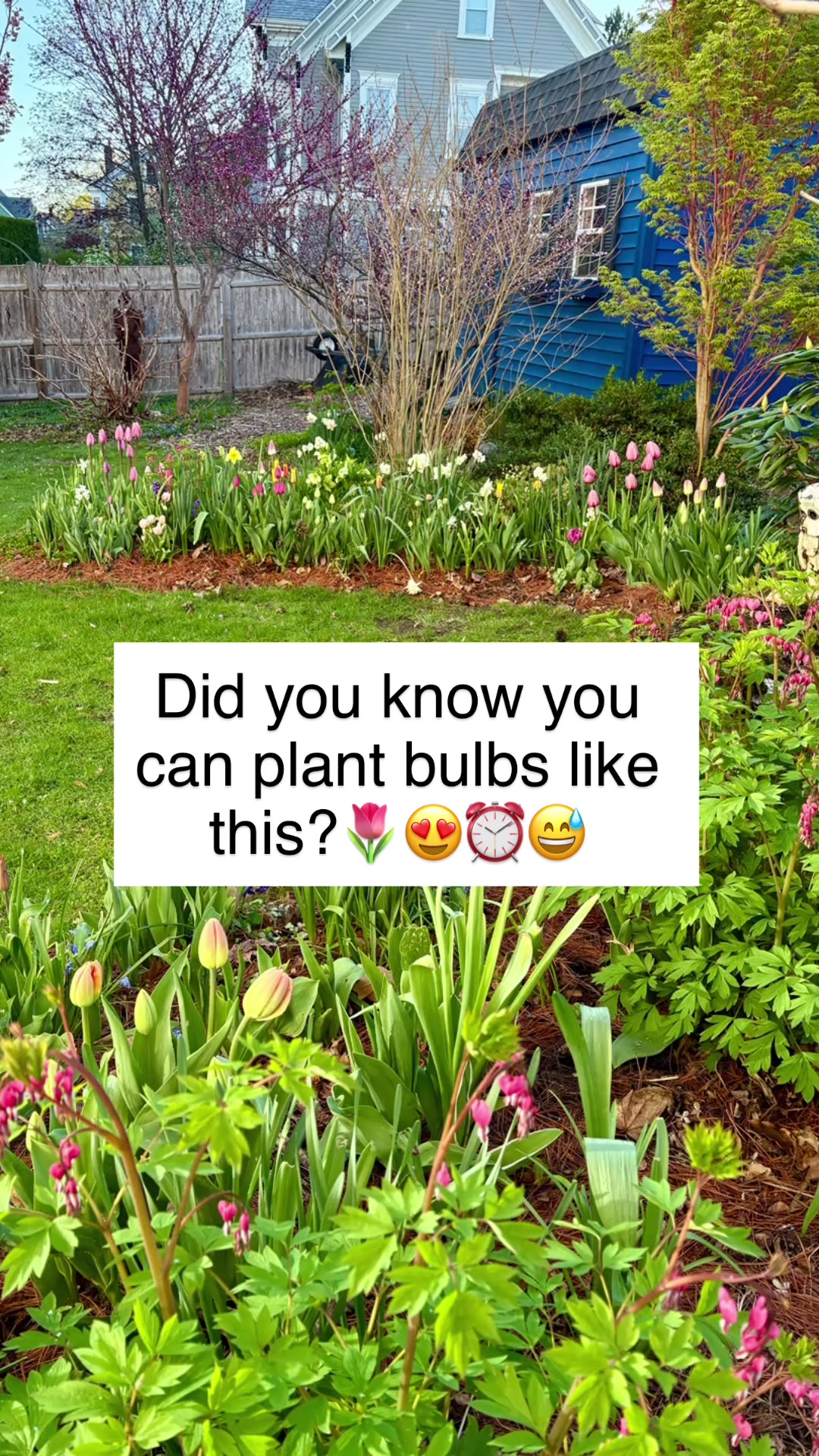 @You Can Do It Gardening