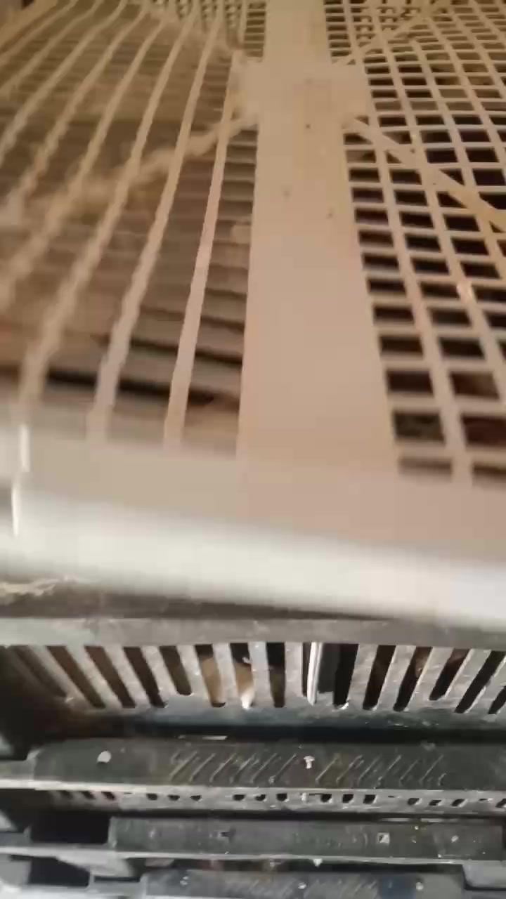 @فيومي ذهبي صفاقس