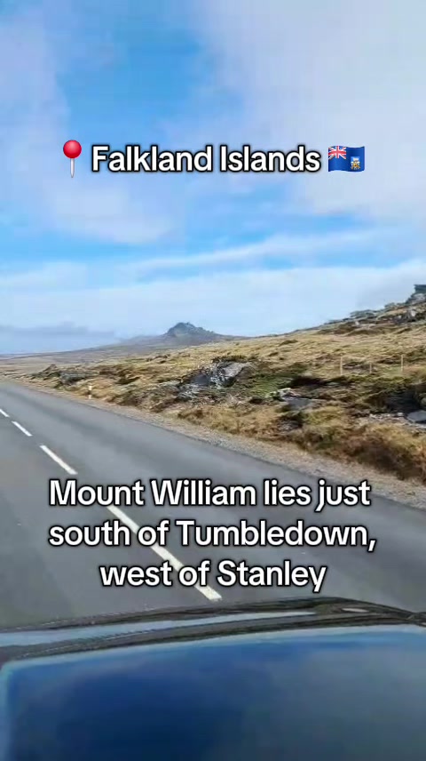@🇫🇰Roxy in the Falklands🇫🇰