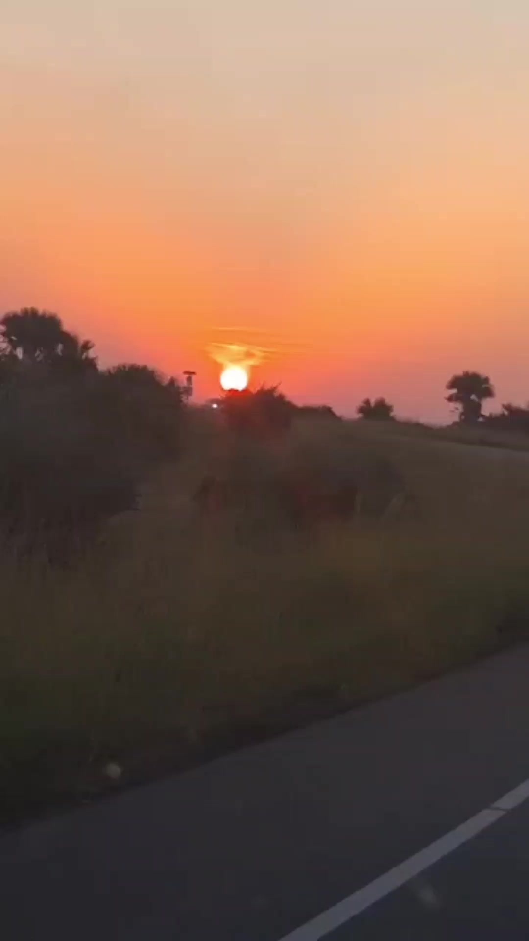 @marbanjisafaris