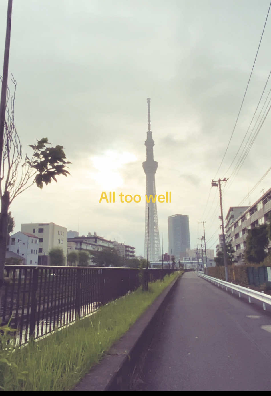 @富森