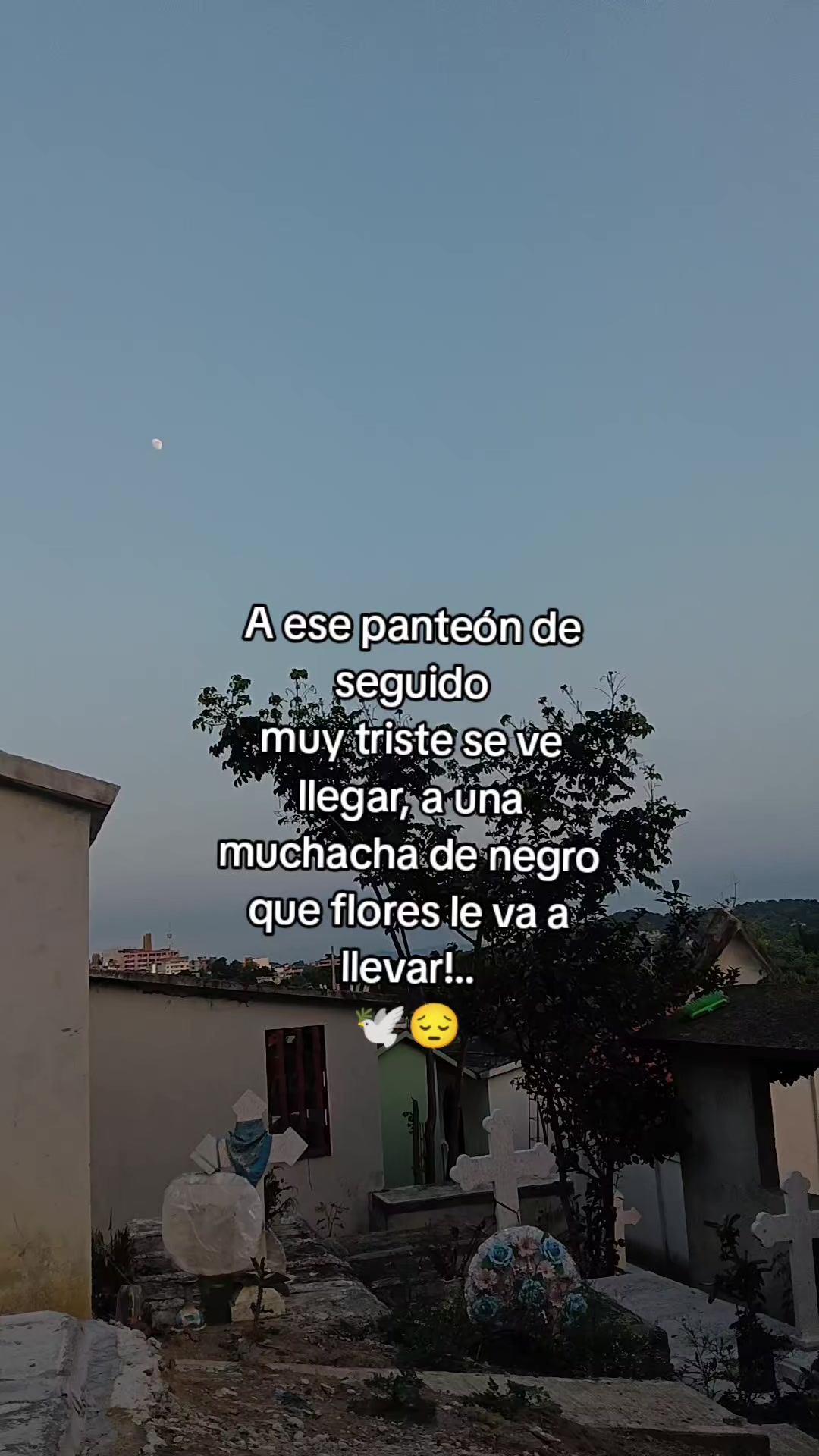 @Sanchez❤️