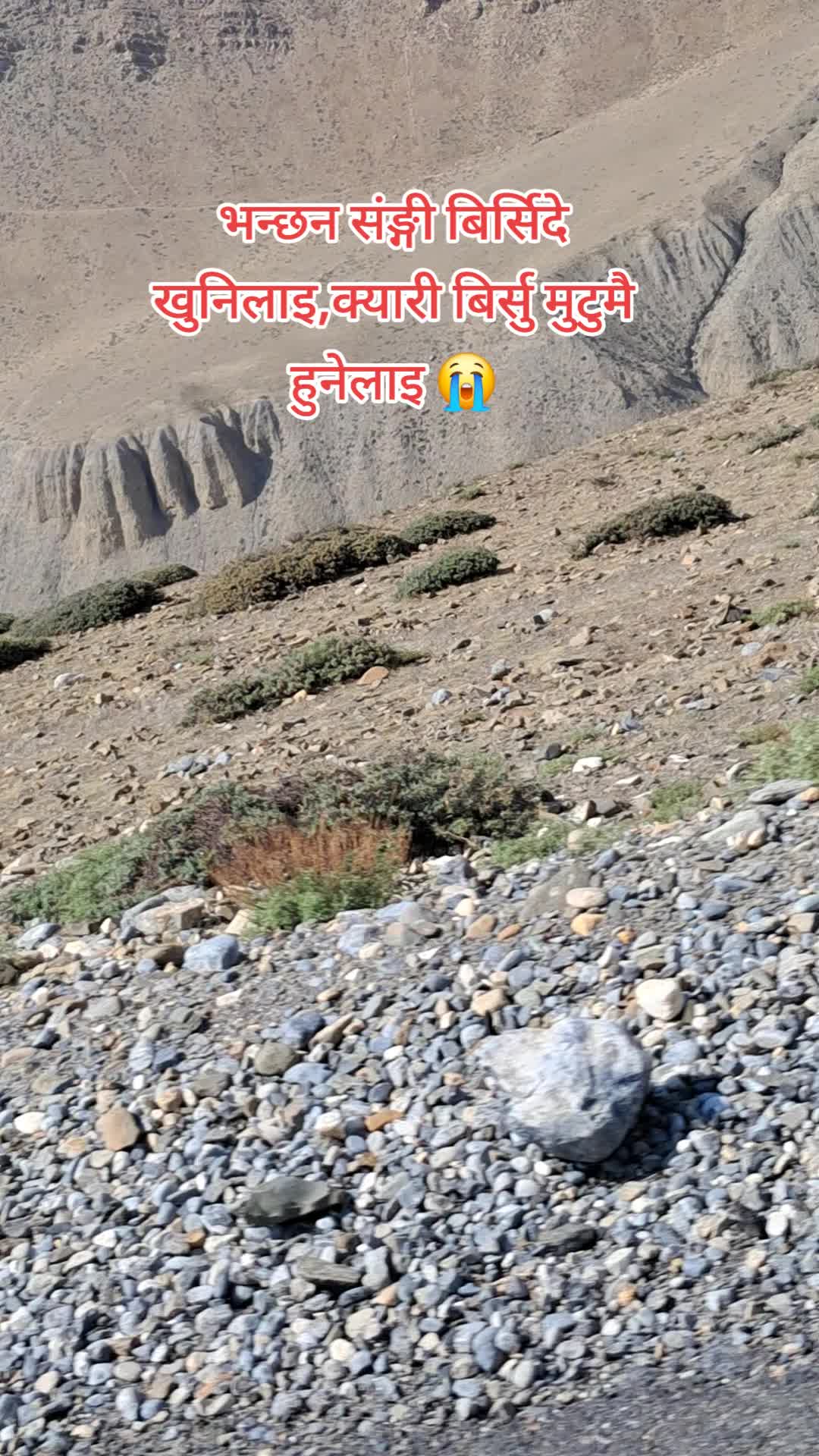 @ङौसार