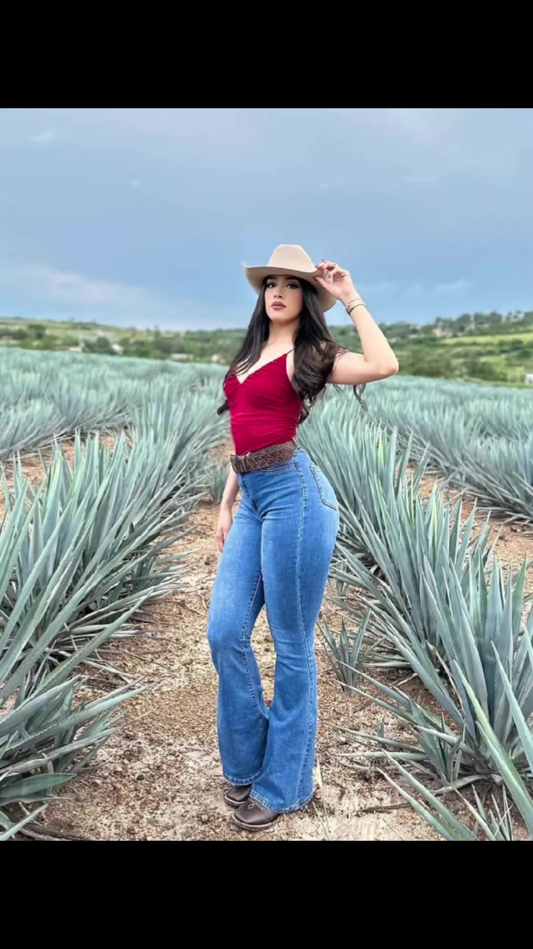 @Hermosilla