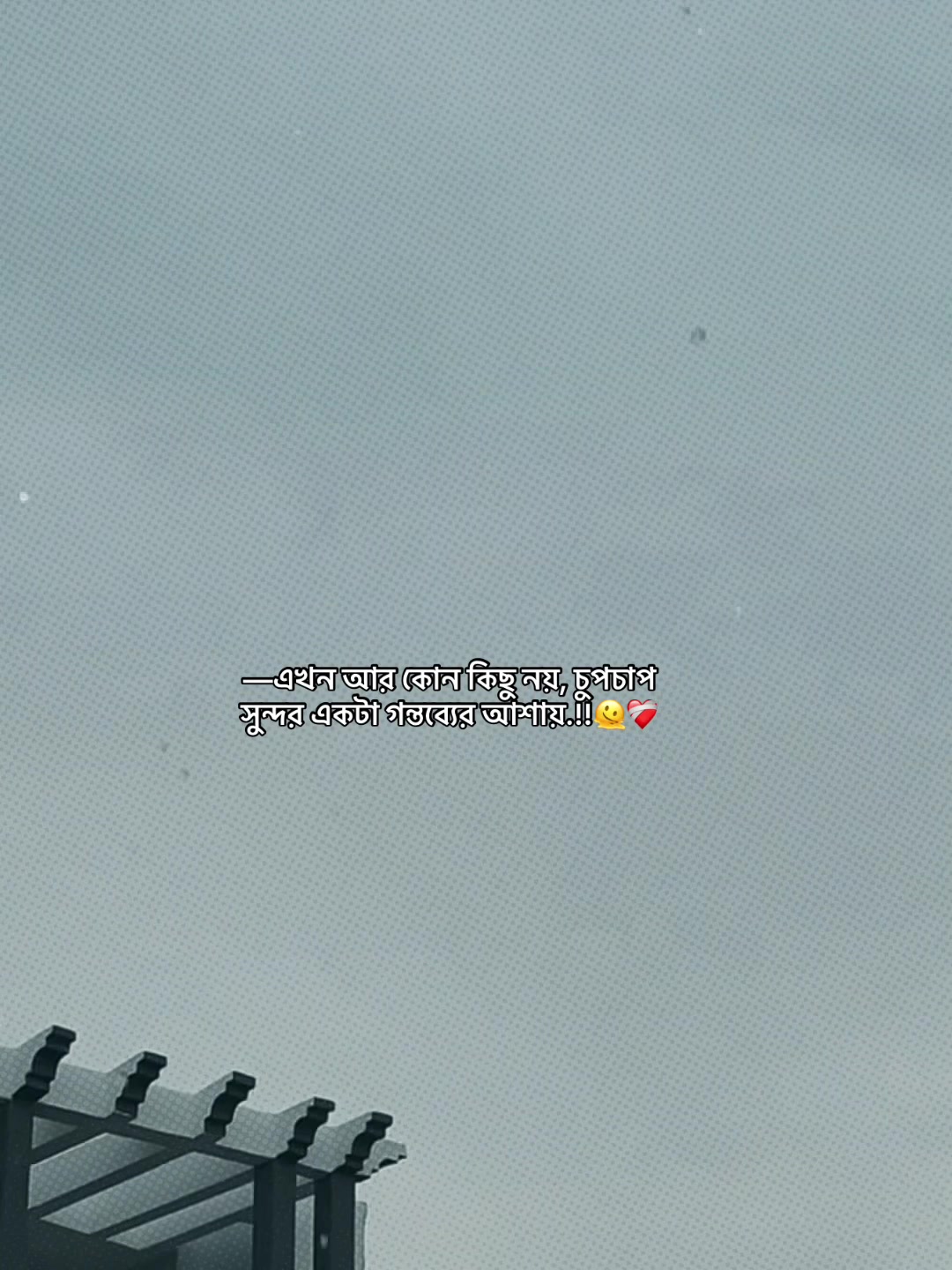 @⏳𝐒𝐡𝐚𝐝𝐨𝐰𝐗𝐞𝐧_ 🚩