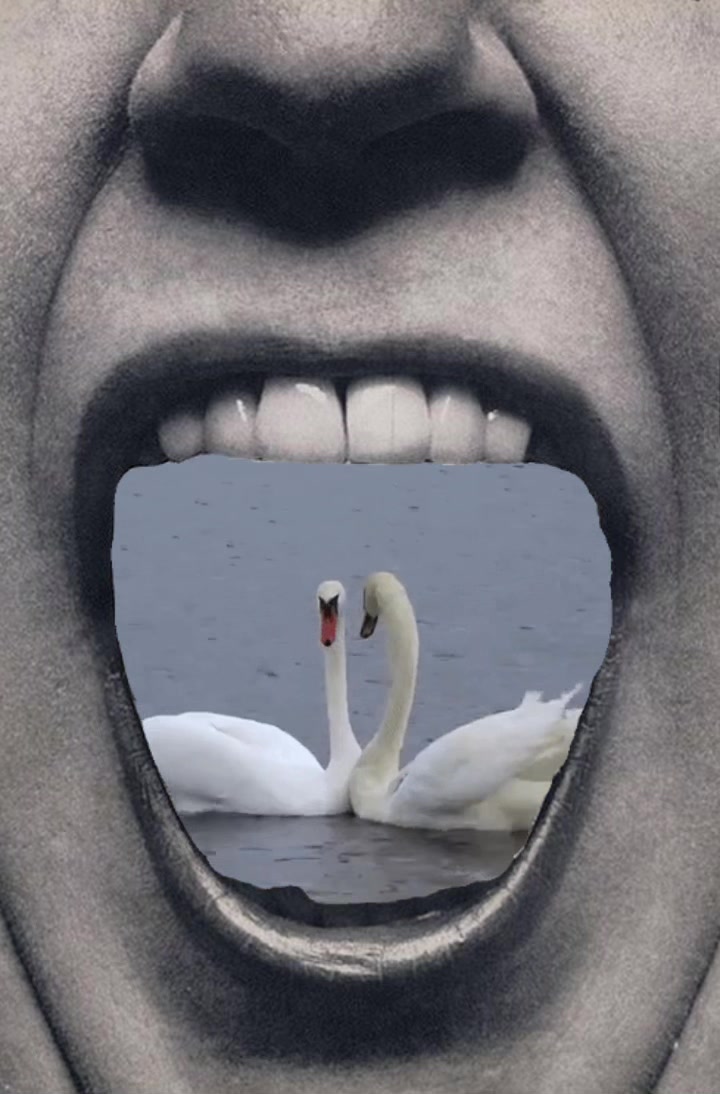 @✰